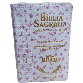 C�pia de B�blia sagrada letra jumbo com z�per 