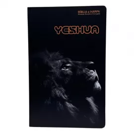 B�blia sagrada capa dura le�o 