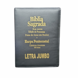 B�blia sagrada letra jumbo com z�per 